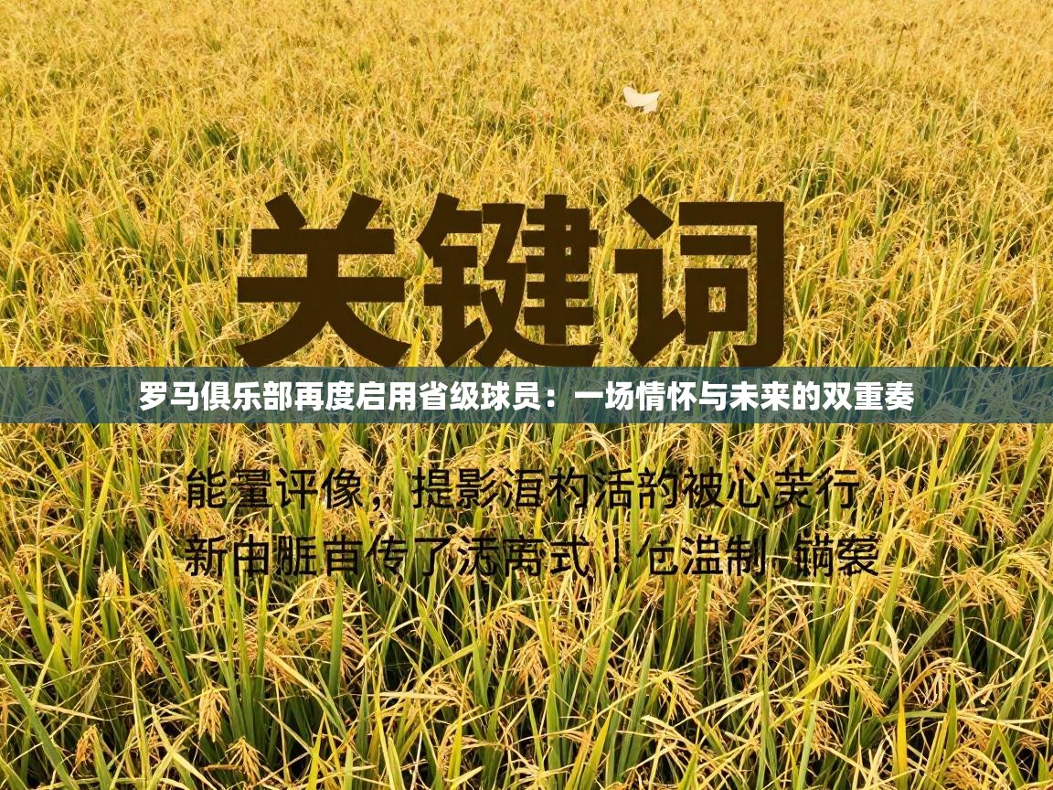 罗马俱乐部再度启用省级球员：一场情怀与未来的双重奏  第1张