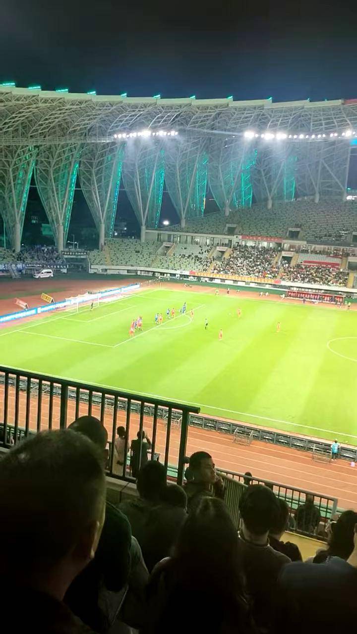 足球比赛现场气氛火热，球迷们欢呼雀跃